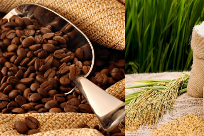 Tính từ đầu năm, xuất khẩu cà phê giảm 14,3%, gạo giảm 6,9%.