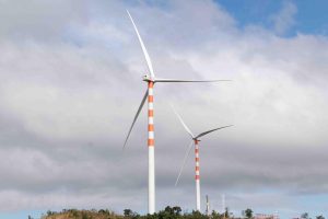 Trang trại điện gió BT2 có công suất 100,8 MW.
