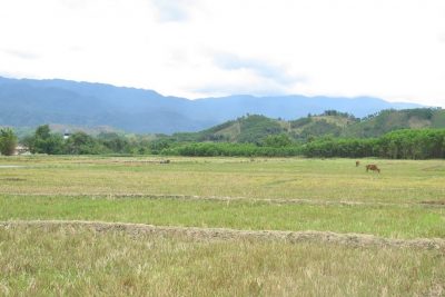 Giá đất ruộng mới chuyển đổi ở thị xã Hương Trà, tỉnh Thừa Thiên Huế tăng vọt.