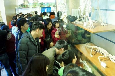Người dân tham quan tại Bảo tàng Thiên nhiên Việt Nam ở 18 Hoàng Quốc Việt, Cầu Giấy, Hà Nội.