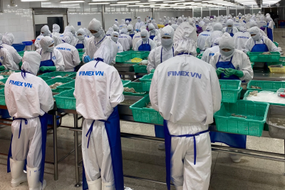 Thực phẩm Sao Ta là một trong những nhà chế biến tôm lớn nhất Việt Nam.