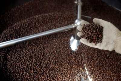 Giá cà phê ở Tây Nguyên tăng khoảng 300 đồng/kg so với tuần trước.