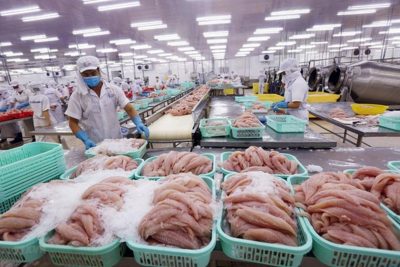 Việt Nam là nước xuất khẩu cá thịt trắng lớn thứ 3 vào Nga.