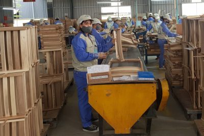 Nhiều nhà máy sản xuất nội thất gỗ ở Việt Nam có thể đóng cửa kéo dài vì không có đơn hàng.
