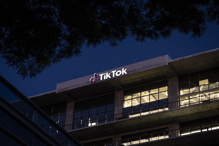 Nếu Mỹ cấm TikTok, các nước khác cũng có thể cấm ứng dụng này.
