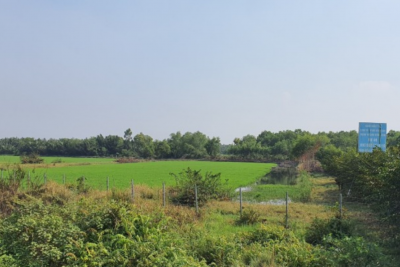 Công ty Kim Oanh Đồng Nai cáo buộc Tân Hiệp Phát chiếm đoạt dự án Khu dân cư tại xã An Phước.