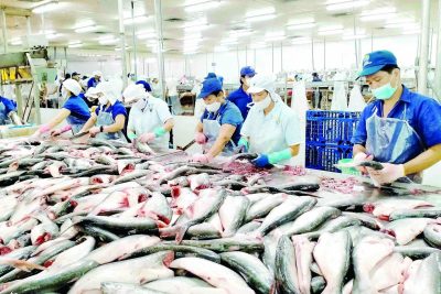 Xuất khẩu thủy sản năm nay dự báo giảm 21% so với năm ngoái.