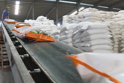 Các thương nhân quốc tế đang ráo riết tìm mua gạo từ Việt Nam.
