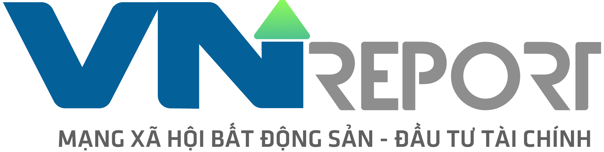 VNReport