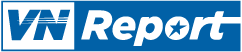VNReport